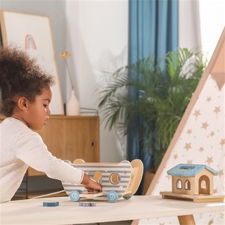 Noah's Ark Shape Sorter